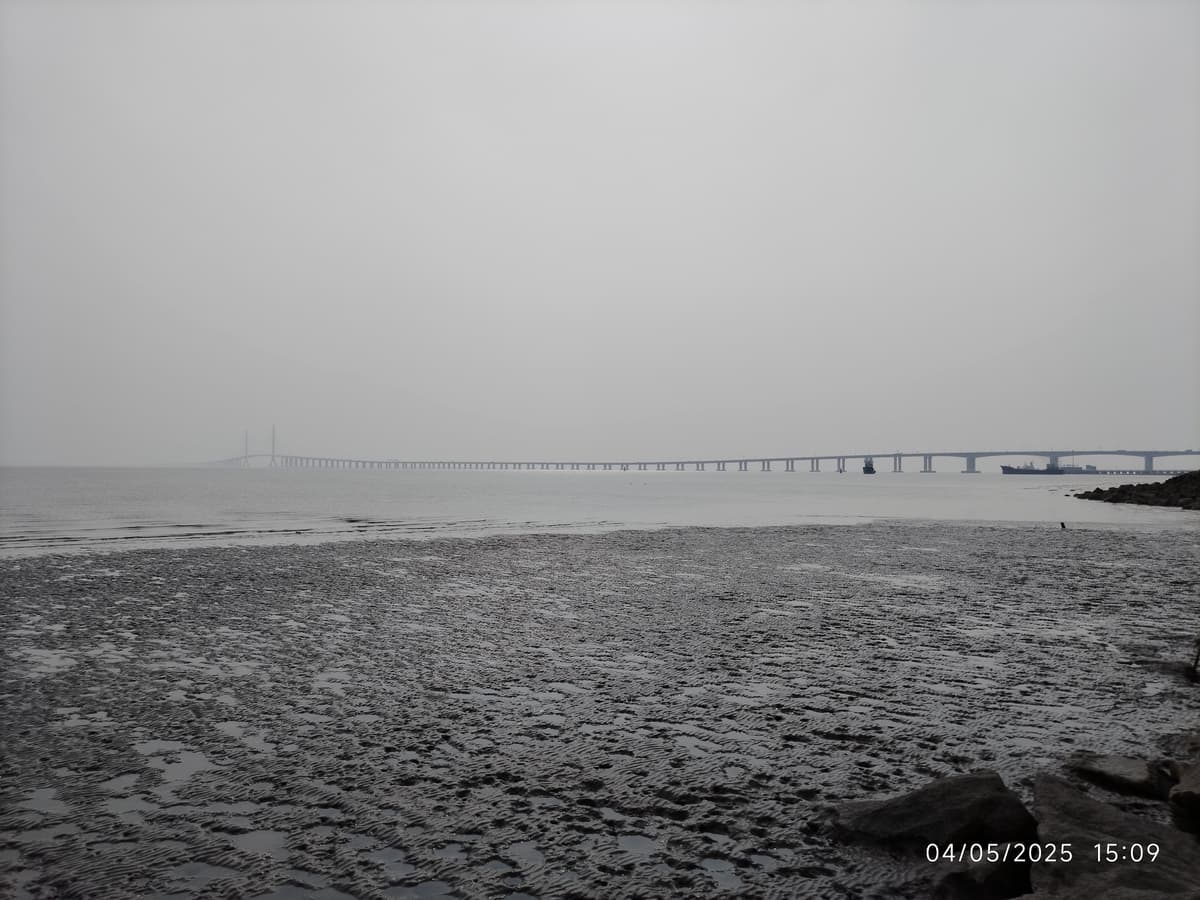 Preserved specimen of a Chinese Paddlefish